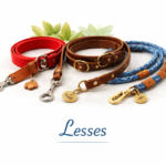 Lesses